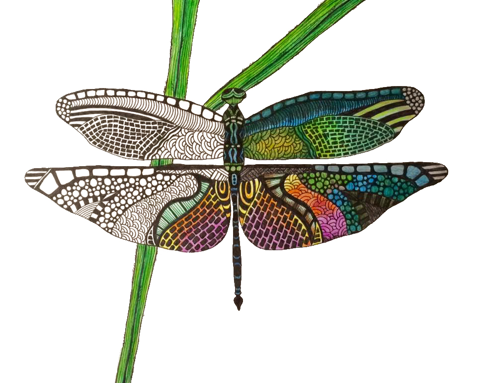 dragonfly zentangle